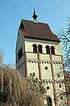 Münster in Mittelzell